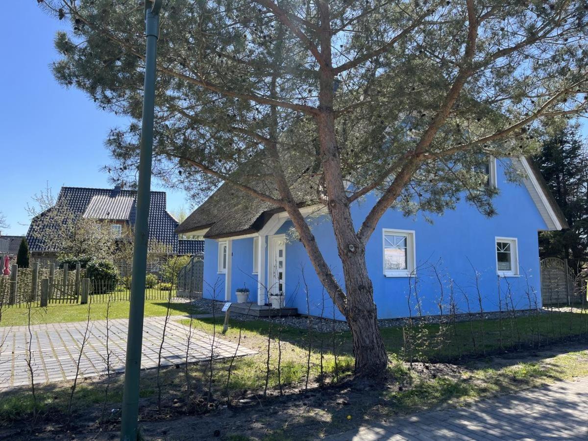 Ferienhaus De Niege Leive 보른 외부 사진
